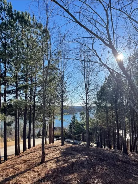 218 Long Ridge Rd, Sunset, SC 29685 photo 9