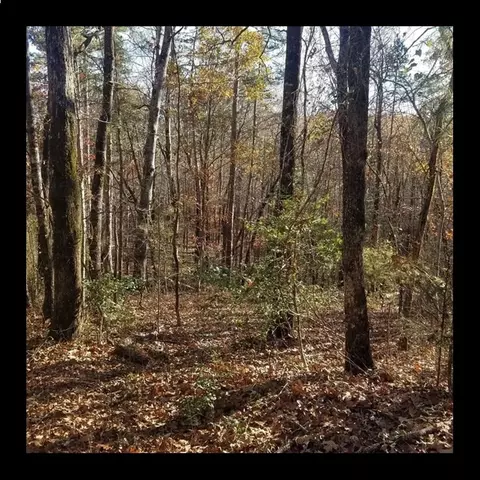 lot Apt 8 Beacon Ridge Cir, Salem, SC 29676