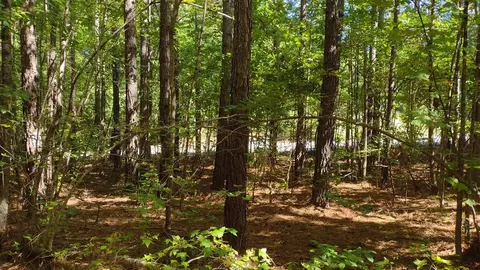 lot4 Talley Bridge Rd, Cleveland, SC 29635