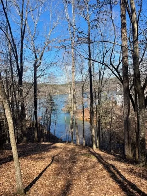 416 Pileated Woodpecker Ln, Sunset, SC 29685