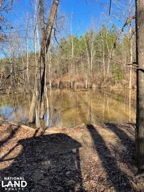 0 Mattie Campbell Rd, Honea Path, SC 29654 photo 7