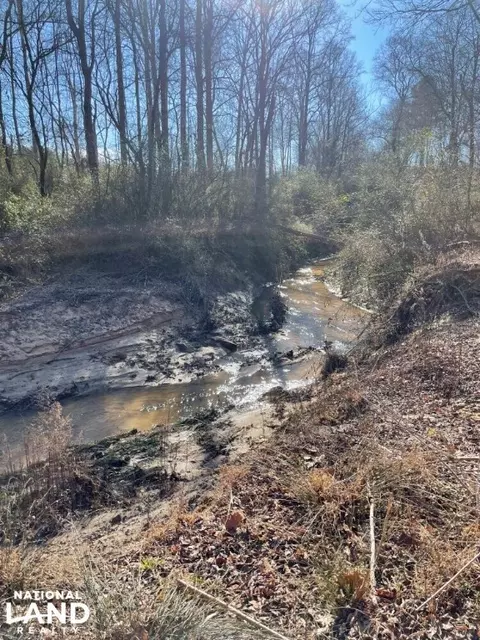 0 Mattie Campbell Rd, Honea Path, SC 29654 photo 9
