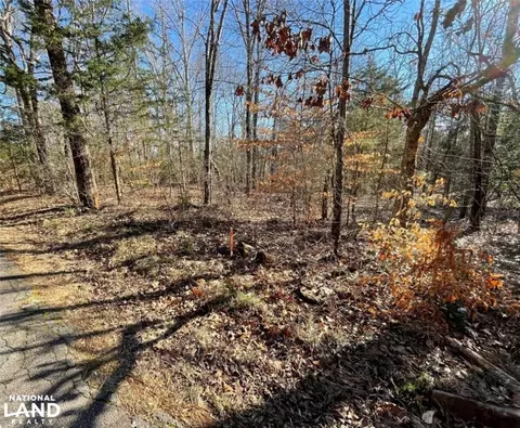 0 Mattie Campbell Rd, Honea Path, SC 29654 photo 12