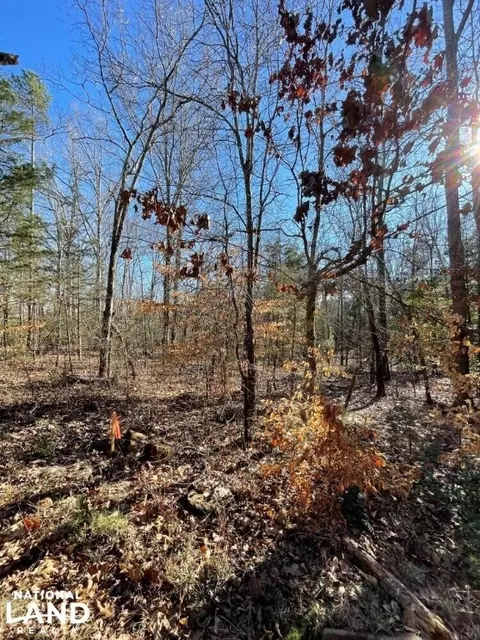 0 Mattie Campbell Rd, Honea Path, SC 29654 photo 6