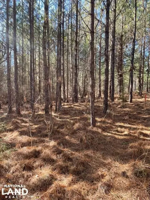 0 Mattie Campbell Rd, Honea Path, SC 29654 photo 13