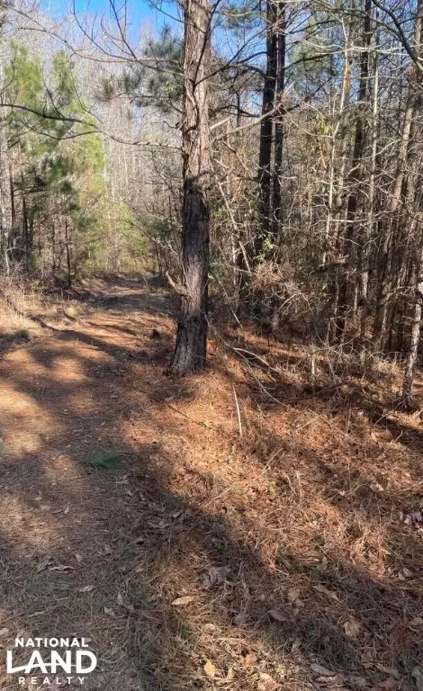 0 Mattie Campbell Rd, Honea Path, SC 29654 photo 10