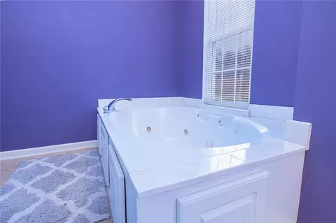 105 Morning Glory Pl, Pendleton, SC 29670 photo 10