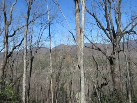112 Logger Ct, Sunset, SC 29685 photo 11
