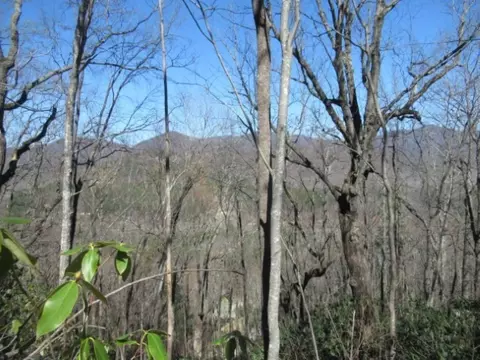 112 Logger Ct, Sunset, SC 29685 photo 3