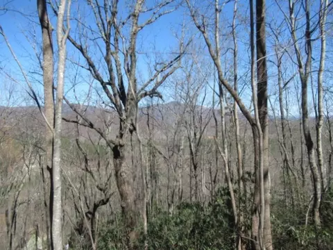112 Logger Ct, Sunset, SC 29685 photo 2