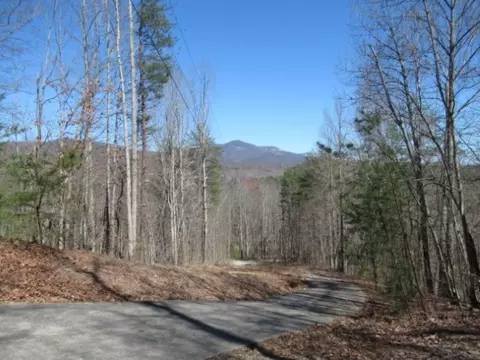 112 Logger Ct, Sunset, SC 29685 photo 5