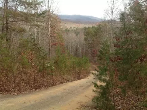 112 Logger Ct, Sunset, SC 29685 photo 40