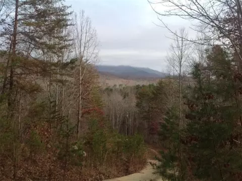 112 Logger Ct, Sunset, SC 29685 photo 34