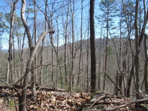 112 Logger Ct, Sunset, SC 29685 photo 9