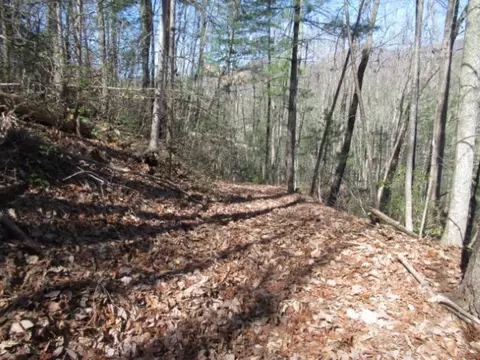 112 Logger Ct, Sunset, SC 29685 photo 14