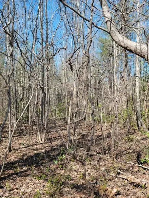 658 Greenacre Dr, Walhalla, SC 29691 photo 4