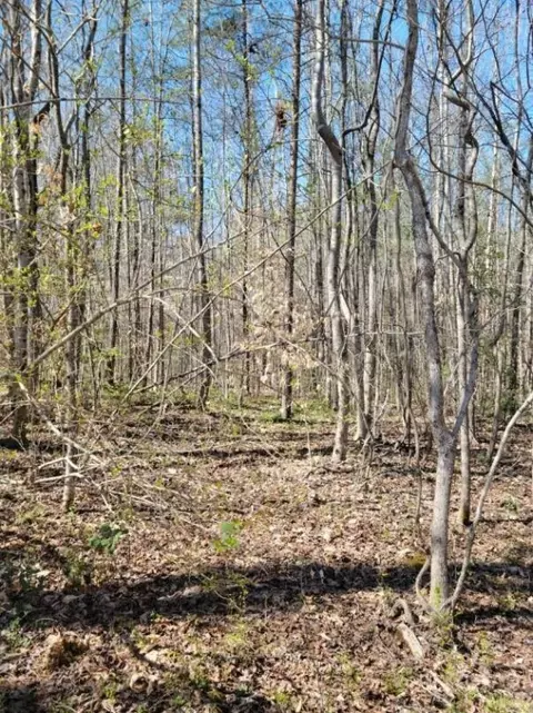 658 Greenacre Dr, Walhalla, SC 29691 photo 3