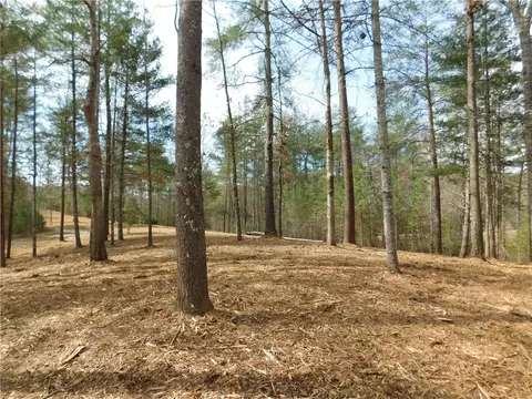 114 Horseback Trl, Sunset, SC 29685 photo 11
