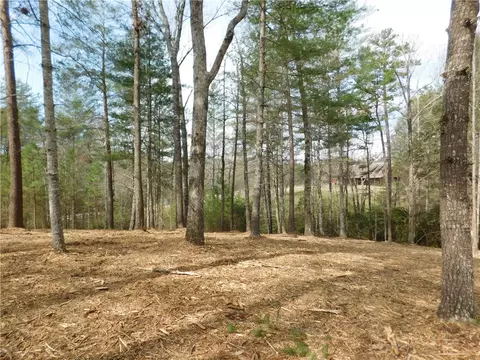 114 Horseback Trl, Sunset, SC 29685 photo 10