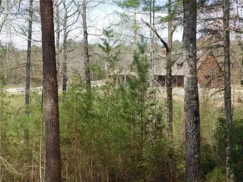 114 Horseback Trl, Sunset, SC 29685 photo 8