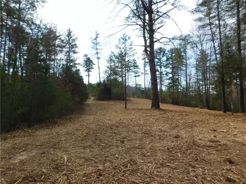 110 Horseback Trl, Sunset, SC 29685