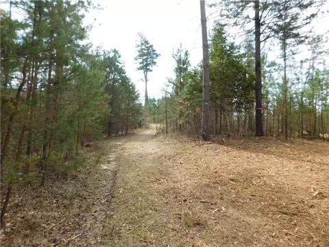 110 Horseback Trl, Sunset, SC 29685 photo 6