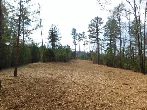 110 Horseback Trl, Sunset, SC 29685 photo 4