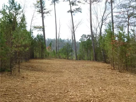 110 Horseback Trl, Sunset, SC 29685 photo 5