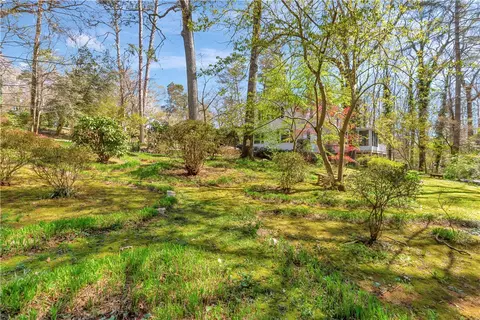 331 Pendleton Rd, Clemson, SC 29631 photo 49