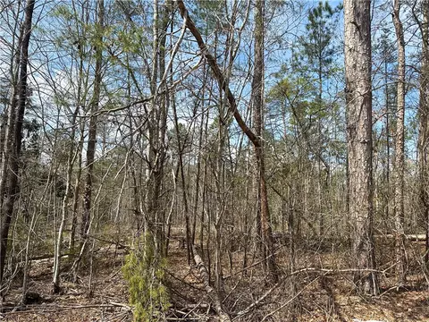 lot1 Coffee Rd, Walhalla, SC 29691 photo 6