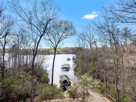 206 Wild Ginger Way, Sunset, SC 29685 photo 42