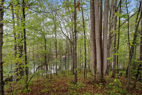 204 Crestview Ct, Seneca, SC 29672 photo 21