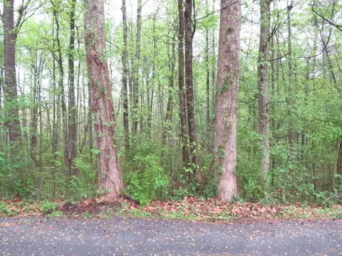 tbd Brookview Cir #LOT 2, Easley, SC 29642