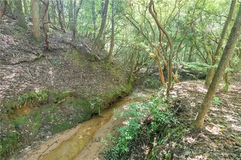 00 Chalmers Mountain Rd # A, Walhalla, SC 29691 photo 18