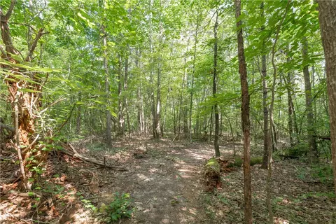 00 Chalmers Mountain Rd # A, Walhalla, SC 29691 photo 4