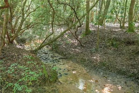 00 Chalmers Mountain Rd # A, Walhalla, SC 29691 photo 20