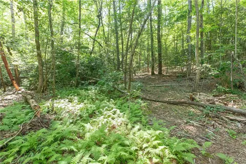 00 Chalmers Mountain Rd # A, Walhalla, SC 29691 photo 10