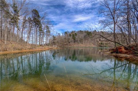 Crestone Court, Salem, SC 29676