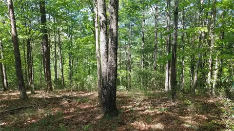 312 Ginseng Dr, Sunset, SC 29685 photo 27