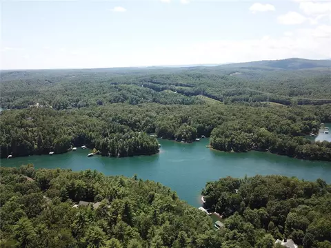 312 Ginseng Dr, Sunset, SC 29685 photo 6