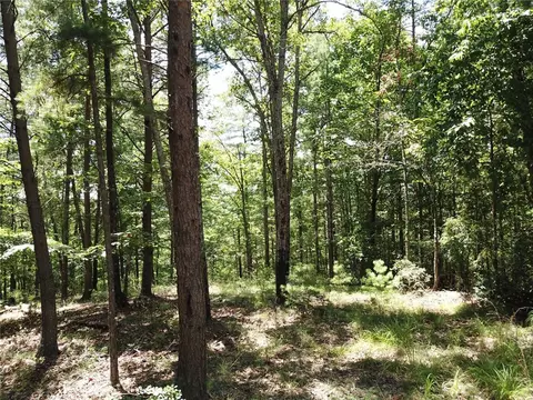 312 Ginseng Dr, Sunset, SC 29685 photo 9