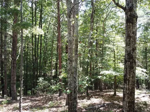 312 Ginseng Dr, Sunset, SC 29685 photo 15
