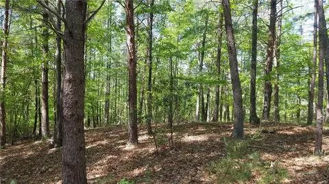312 Ginseng Dr, Sunset, SC 29685 photo 25