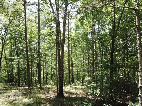 312 Ginseng Dr, Sunset, SC 29685 photo 13