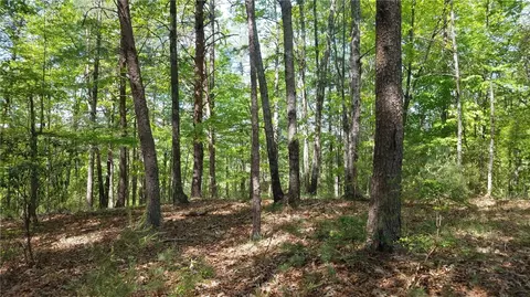 312 Ginseng Dr, Sunset, SC 29685 photo 26