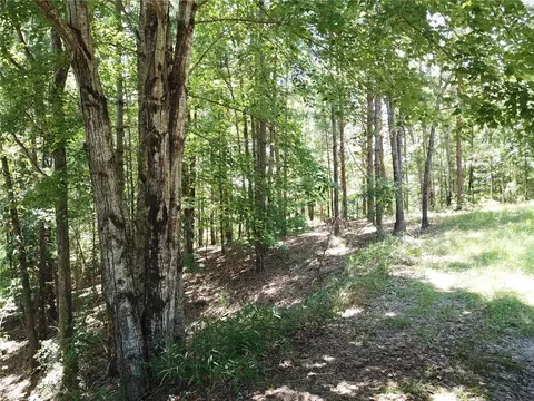 312 Ginseng Dr, Sunset, SC 29685 photo 3