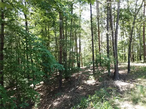 312 Ginseng Dr, Sunset, SC 29685 photo 4