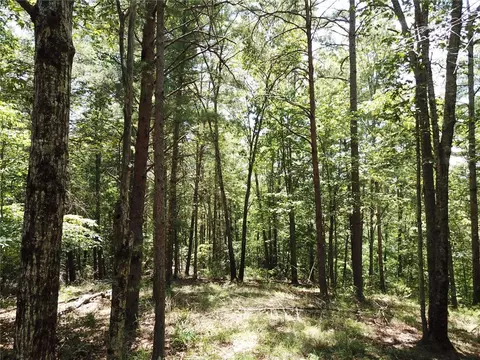 312 Ginseng Dr, Sunset, SC 29685 photo 14