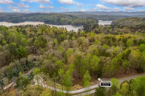 126 Running Bear Ln, Sunset, SC 29685 photo 9