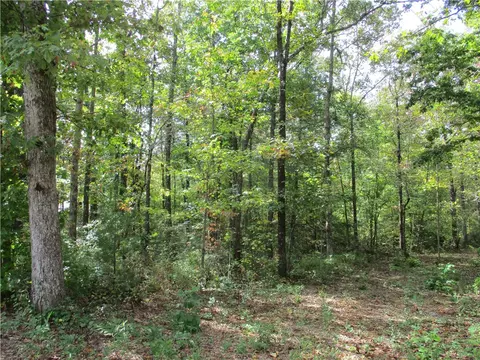 574 Pine Mountain Rd, Tamassee, SC 29686